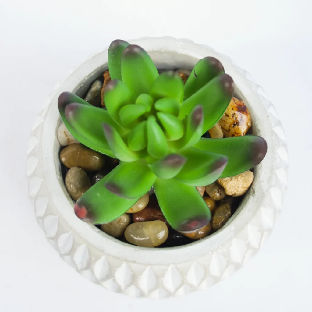 12CM Artificial Small Succulents Plant In Ceramic Pot For Wholesale details