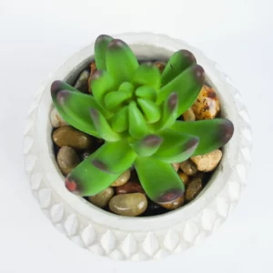 12CM Artificial Small Succulents Plant In Ceramic Pot For Wholesale details