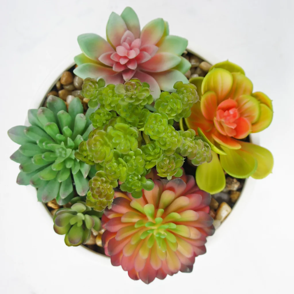17cm Artificial Mixed Succulent Mini Plant