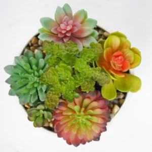 17cm Artificial Mixed Succulent Mini Plant