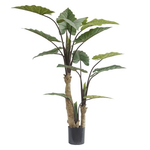 180cm Artificial Alocasia Tree (KD) PC242-180A-KD