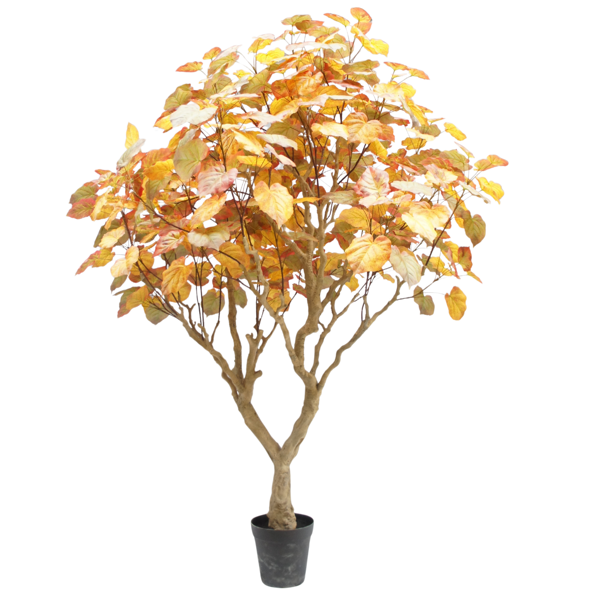 250cm Artificial Fall Ficus Umbellata Tree (KD) PC126-250A-C-KD 2