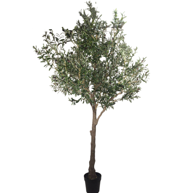 300cm Large Artificial Olive Tree (KD) PC120-13-KD 2