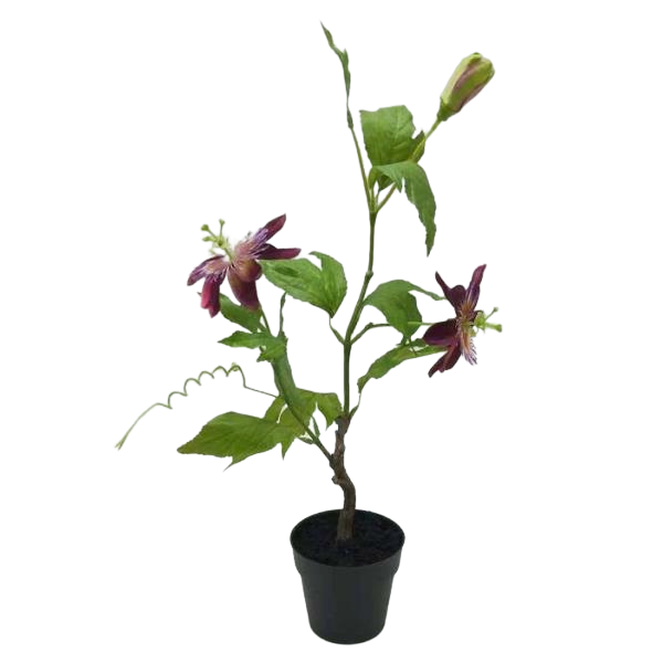 50cm Artificial Passion Fruit Vine Plant with Flowers KC031-50A