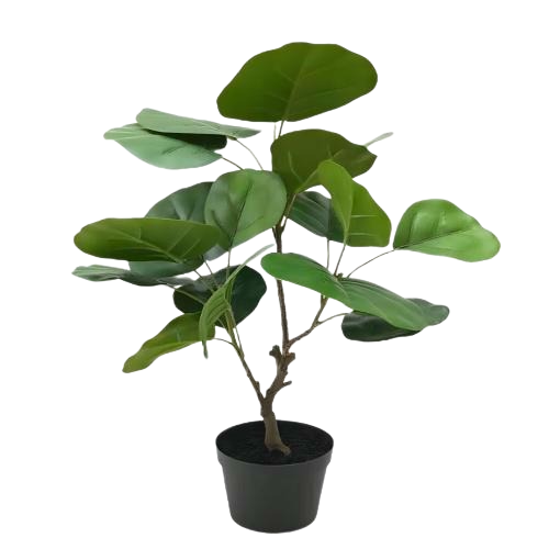 50cm Artificial Shield Aralia Plant KC025-50A 2
