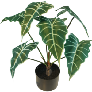 60cm Artificial Alocasia Plant YC187