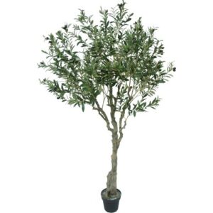 Artificial Olive Tree 200CM, Potted
