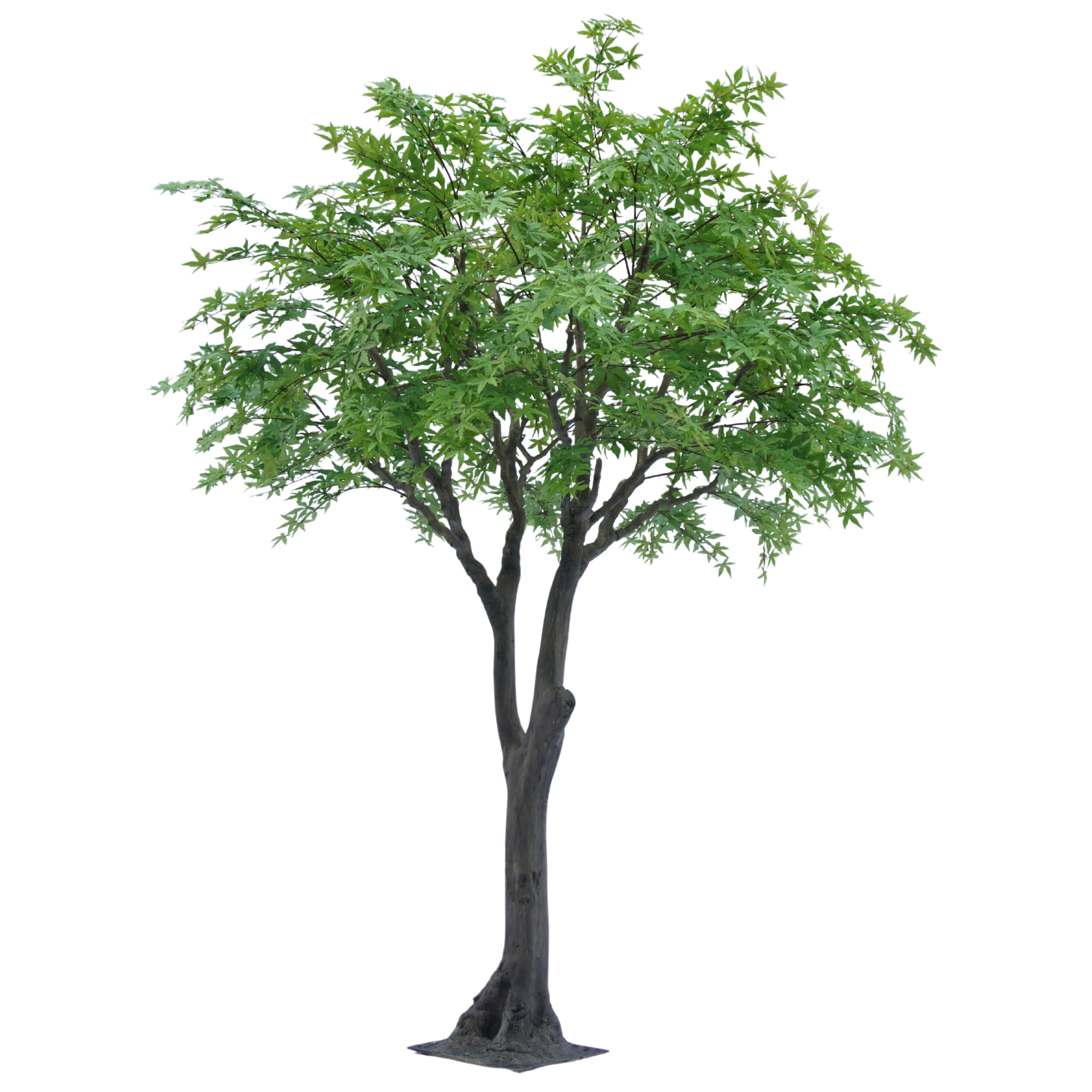 300cm Large Artificial Maple Tree on Plate