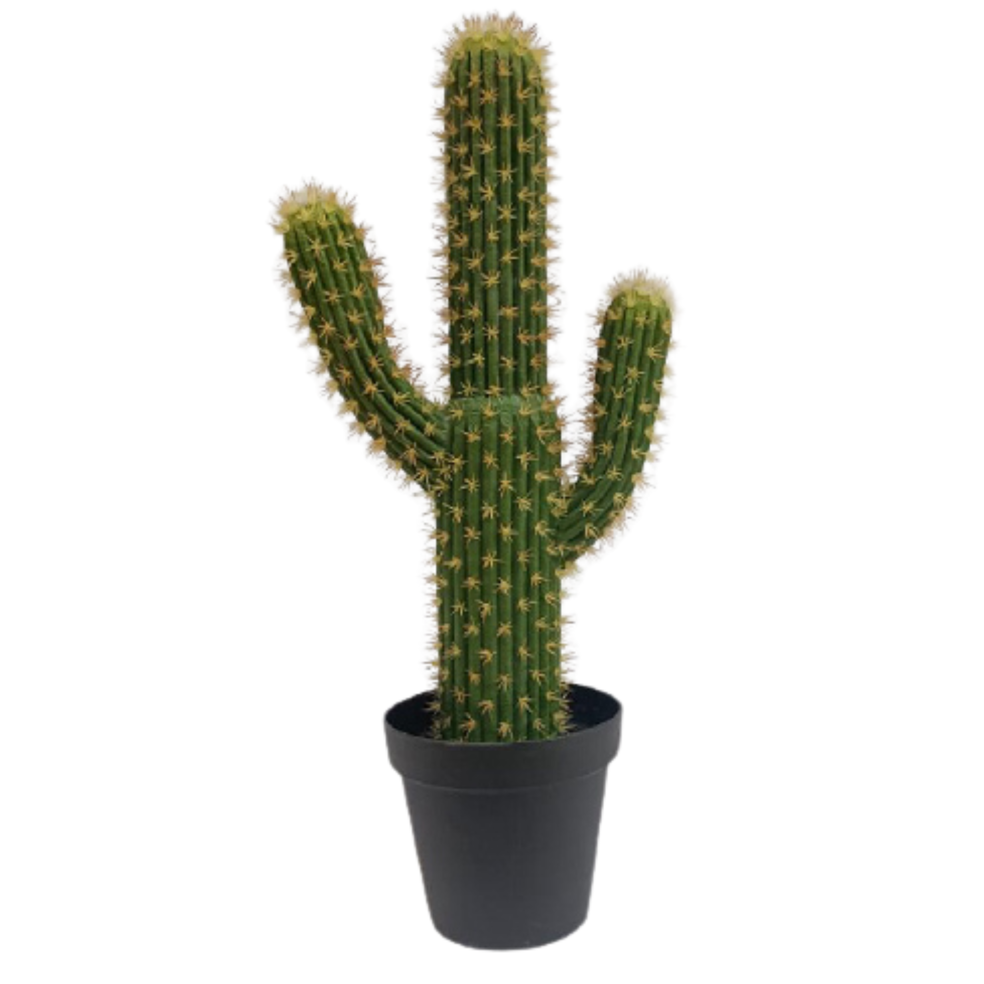 Artificial San Pedro Cactus, 85 CM