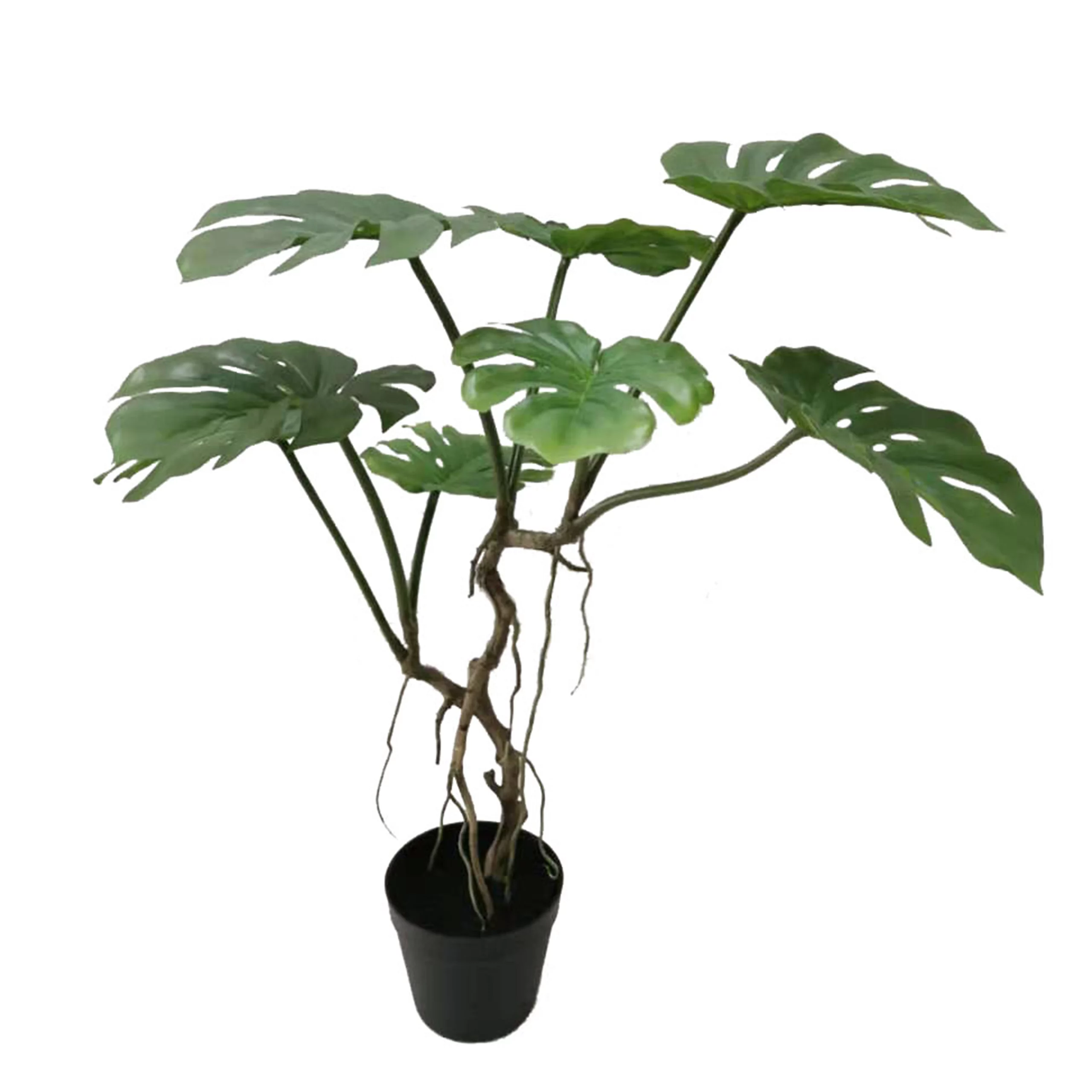 Artificial Monstera Ceriman in Black Pot, 70CM
