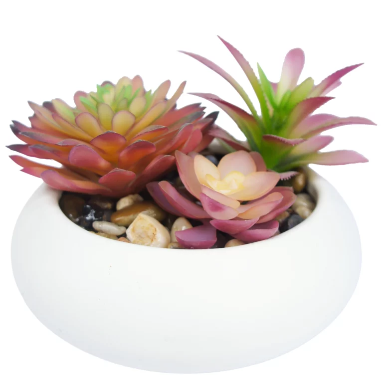 Artificial Succulents Plants Faux Succulent Landscape Decorative Garden Decor IC01-008
