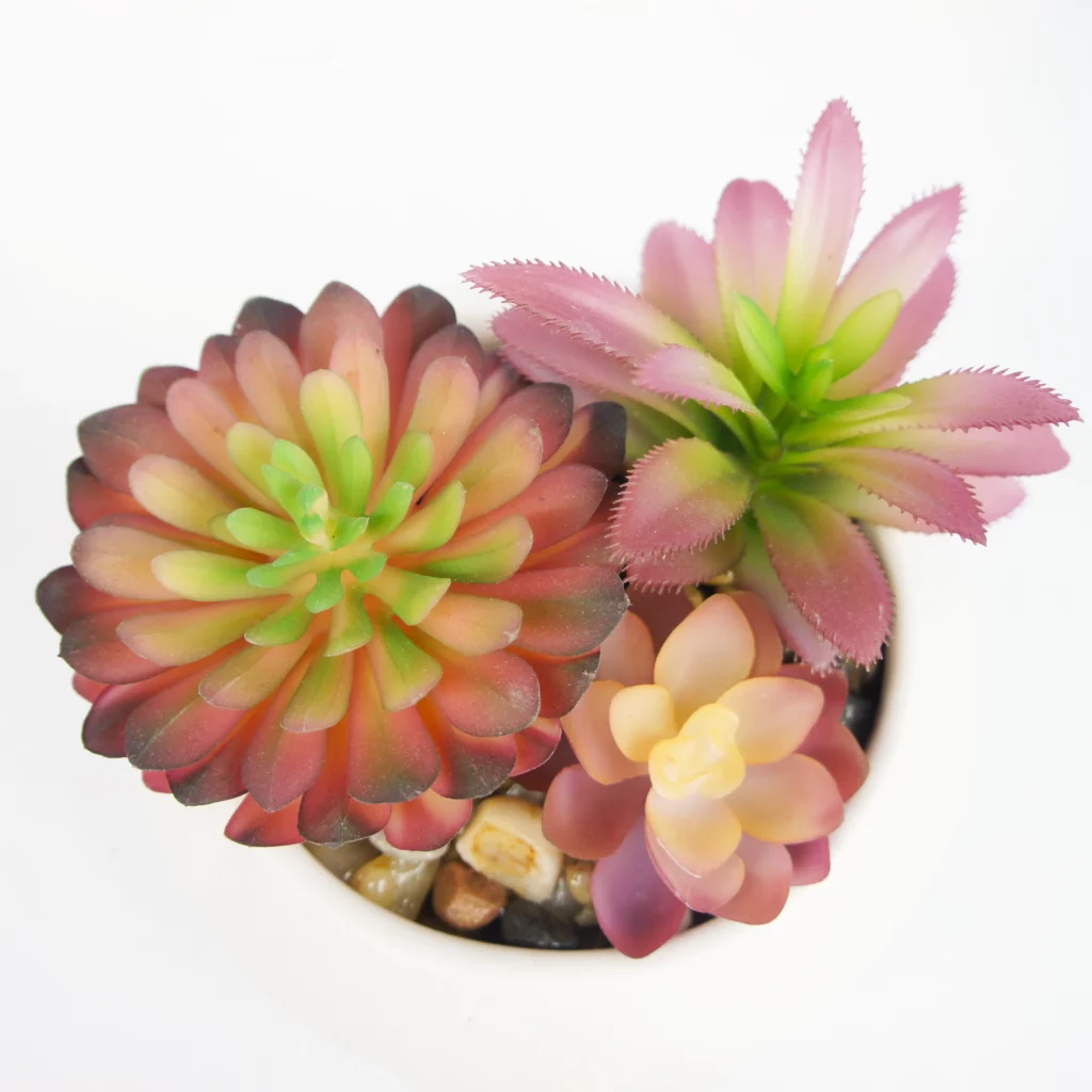 Artificial Succulents Plants Faux Succulent Landscape Decorative Garden Decor IC01-008