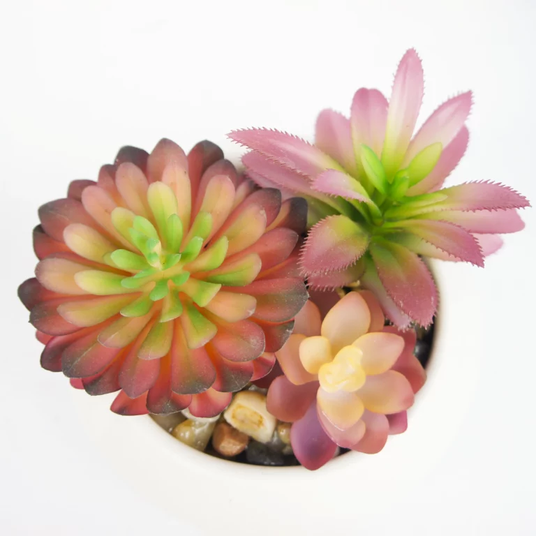Artificial Succulents Plants Faux Succulent Landscape Decorative Garden Decor IC01-008