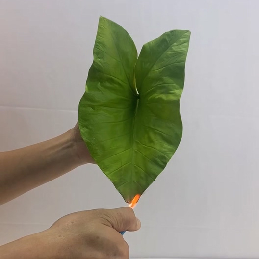 Fire Retardant Artificial olive tree fruits