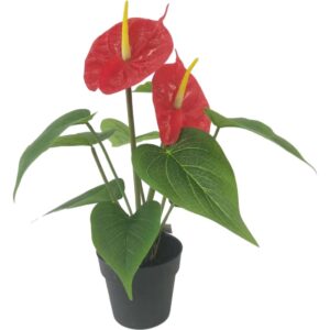 Artificial Flamingo Flower, 35CM