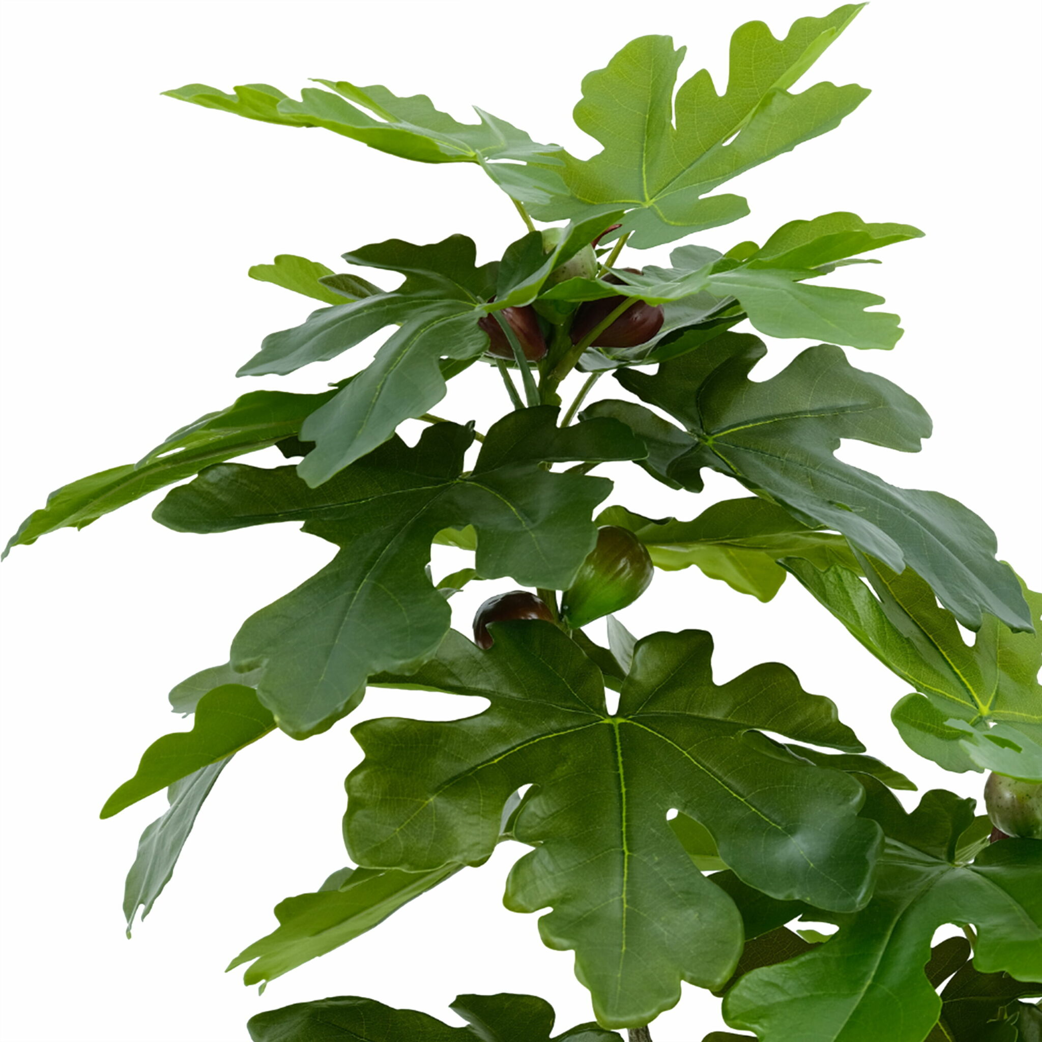 artificial fiddle leaf fig tree manufacturer
