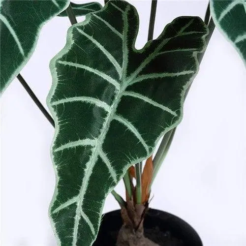 60cm Artificial Alocasia Plant YC187