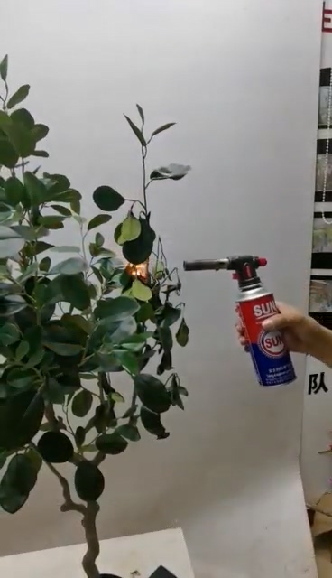 inorganic fire retardants