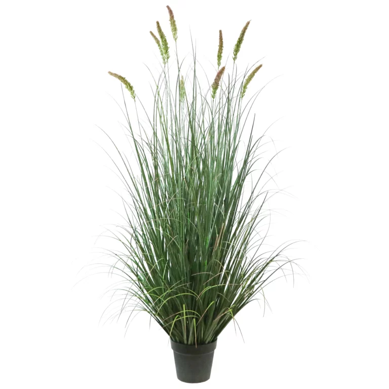 150cm Cattail Curved Onion Grass