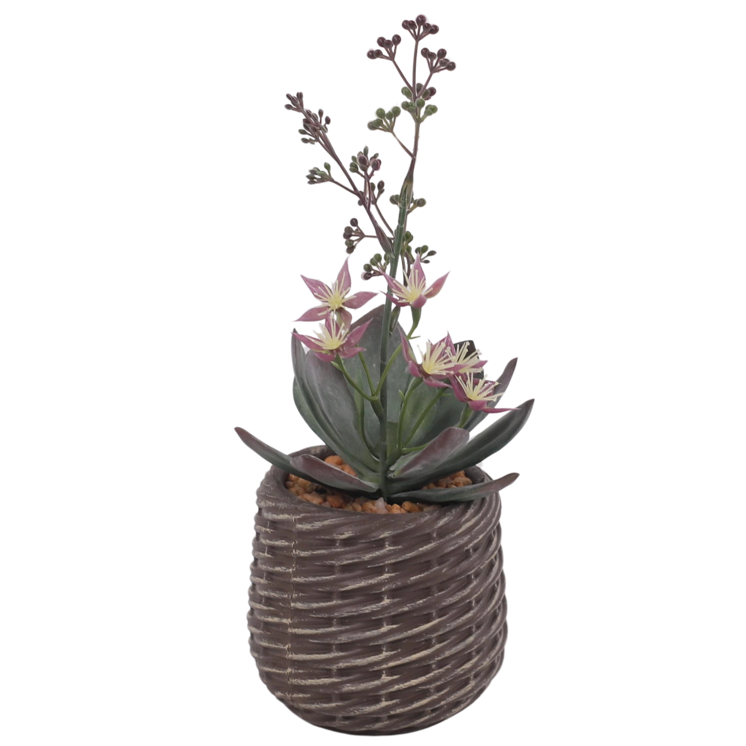 27cm Faux Flowering Succulent Decorative Plant