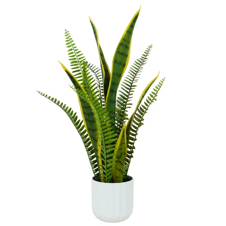 50cm Artificial Snake Plant with Fern (Mini)