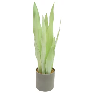 60cm Artificial Moonshine Snake Plant