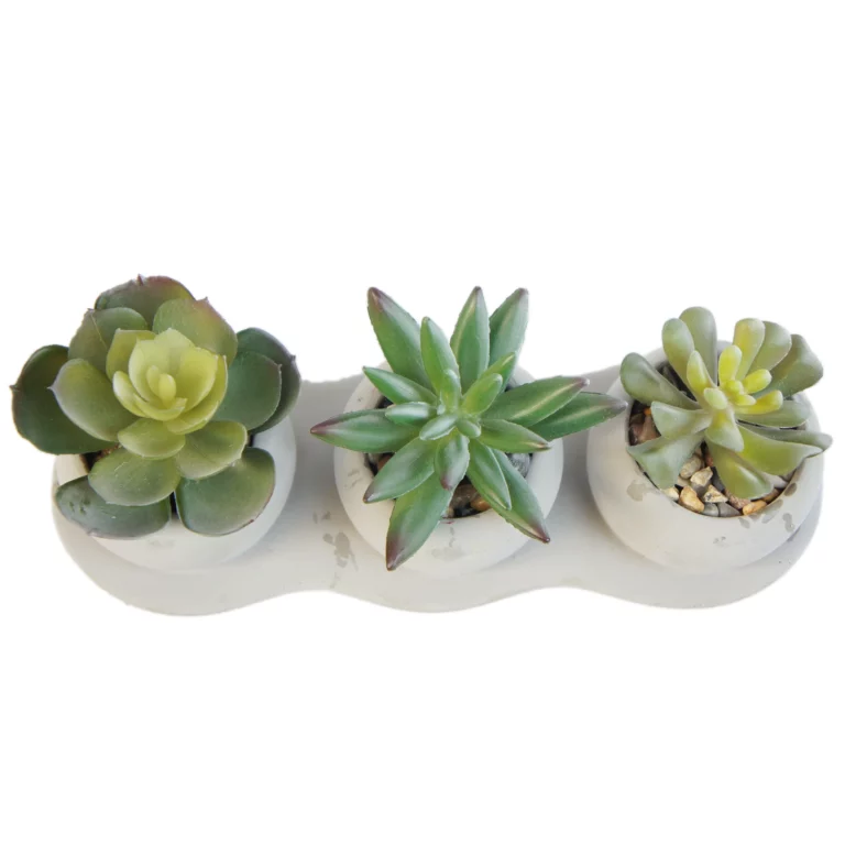 8cm Artificial Mini Succulent Set