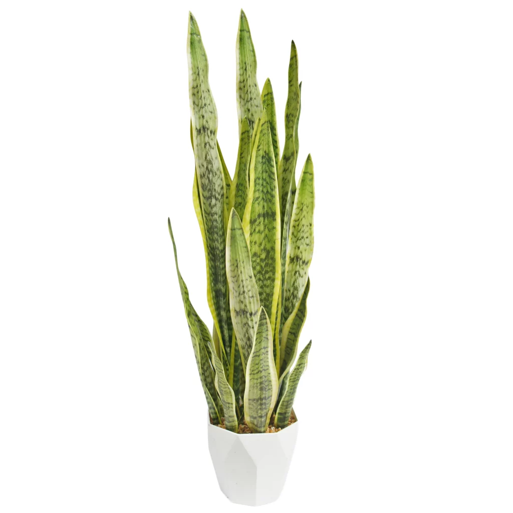 90cm Artificial Leopard Pattern Snake Plant