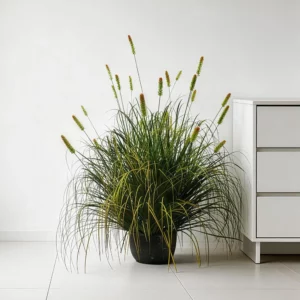 90cm Artificial Short Setaria Onion Grass Plant