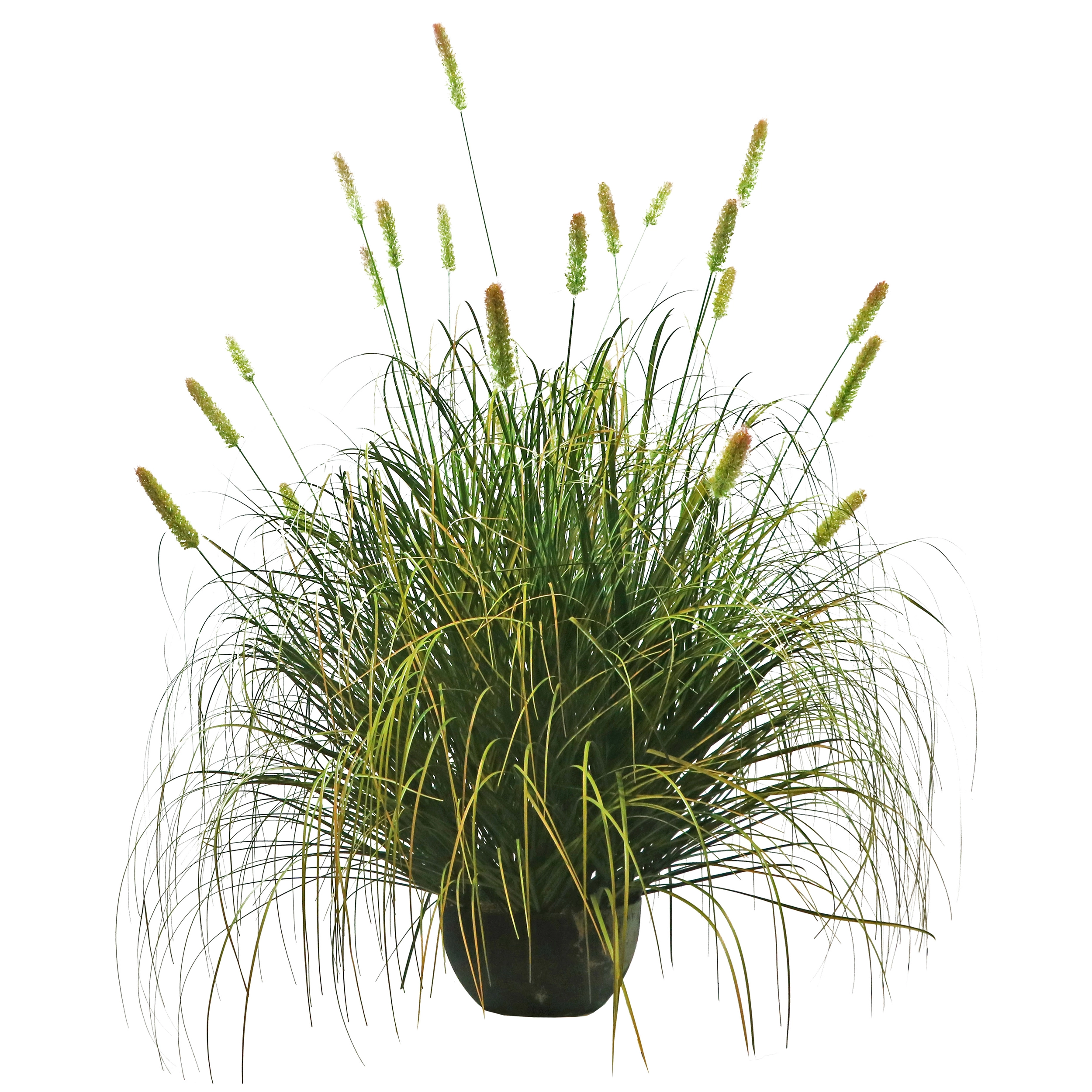 90cm Artificial Short Setaria Onion Grass Plant