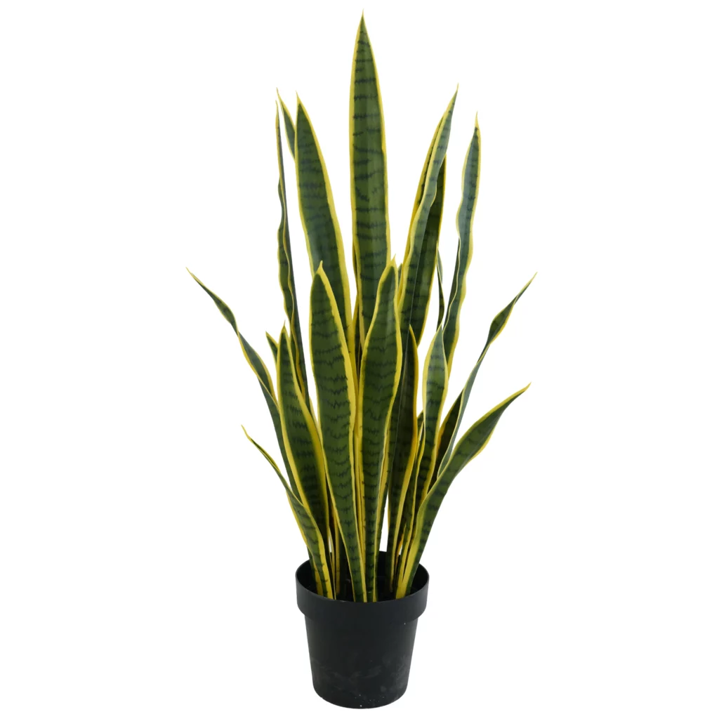 90cm Artificial Yellow-Edged Snake Plant