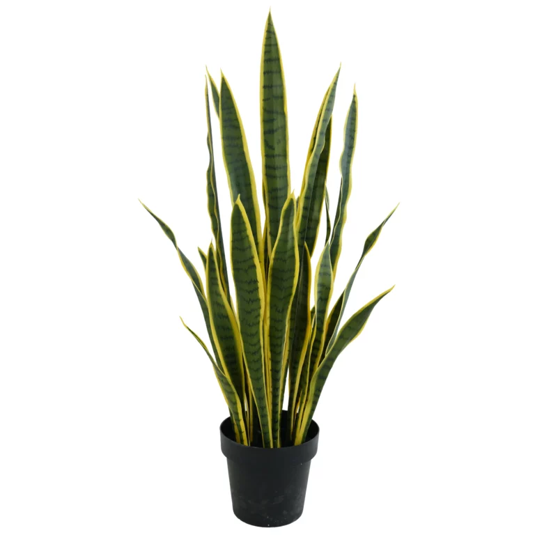 90cm Artificial Yellow-Edged Snake Plant