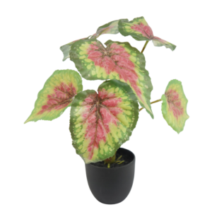 30cm Artificial Rex Begonia Leaf Bundle