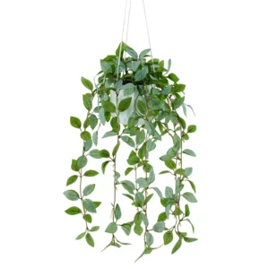 87cm Artificial Fittonia Hanging Plant