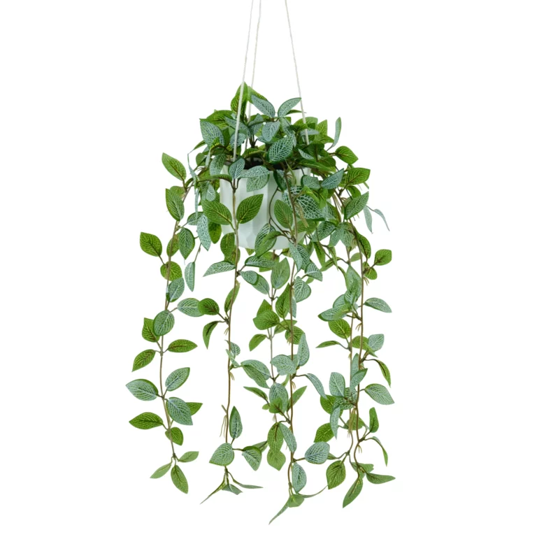 87cm Artificial Fittonia Hanging Plant