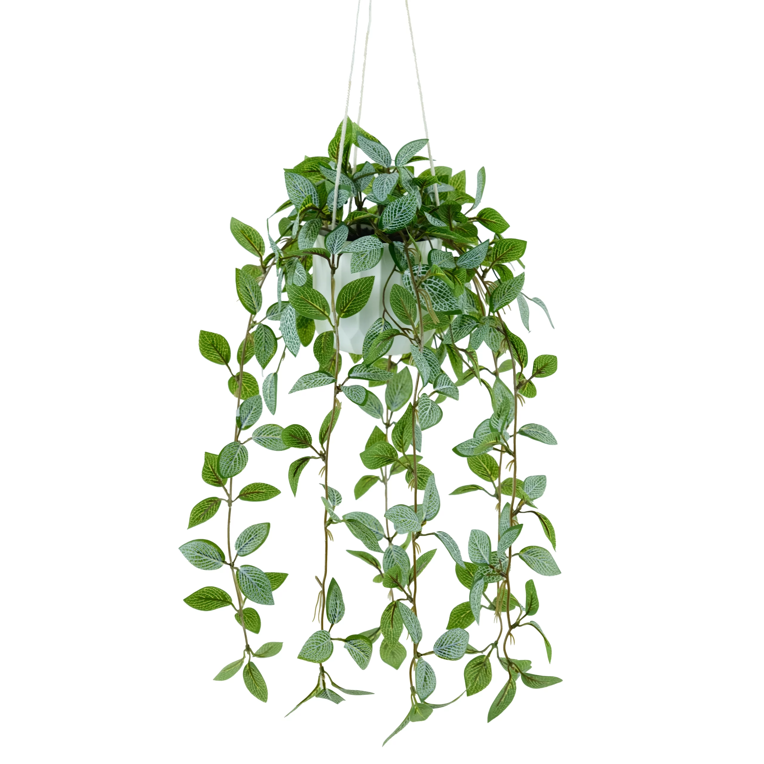 87cm Artificial Fittonia Hanging Plant