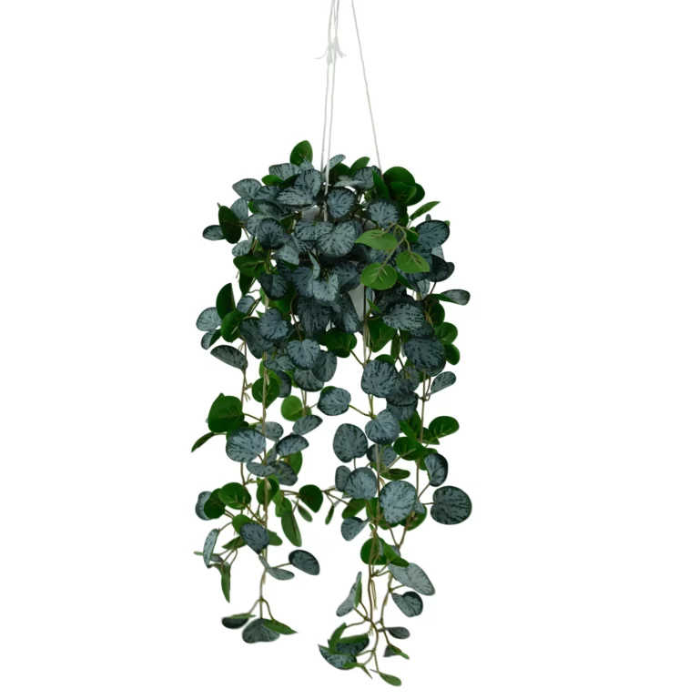 Artificial Pellionia Trailing Hanging Plant 87cm Q194-1