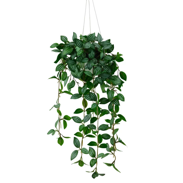Artificial Watermelon Peperomia Hanging Plant 87cm Q195-1