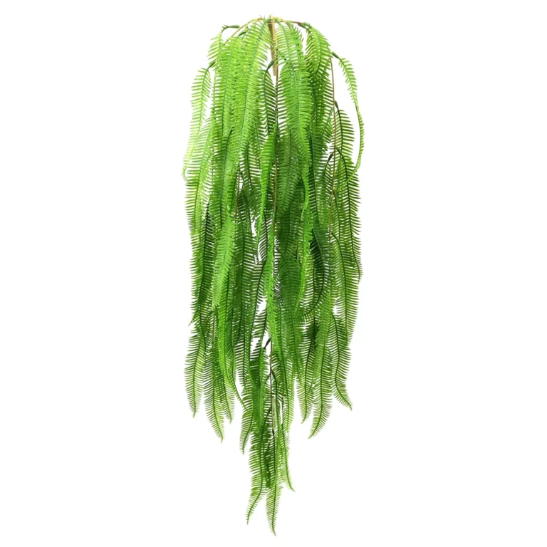 100cm Hanging Blechnum Fern 25STT338006