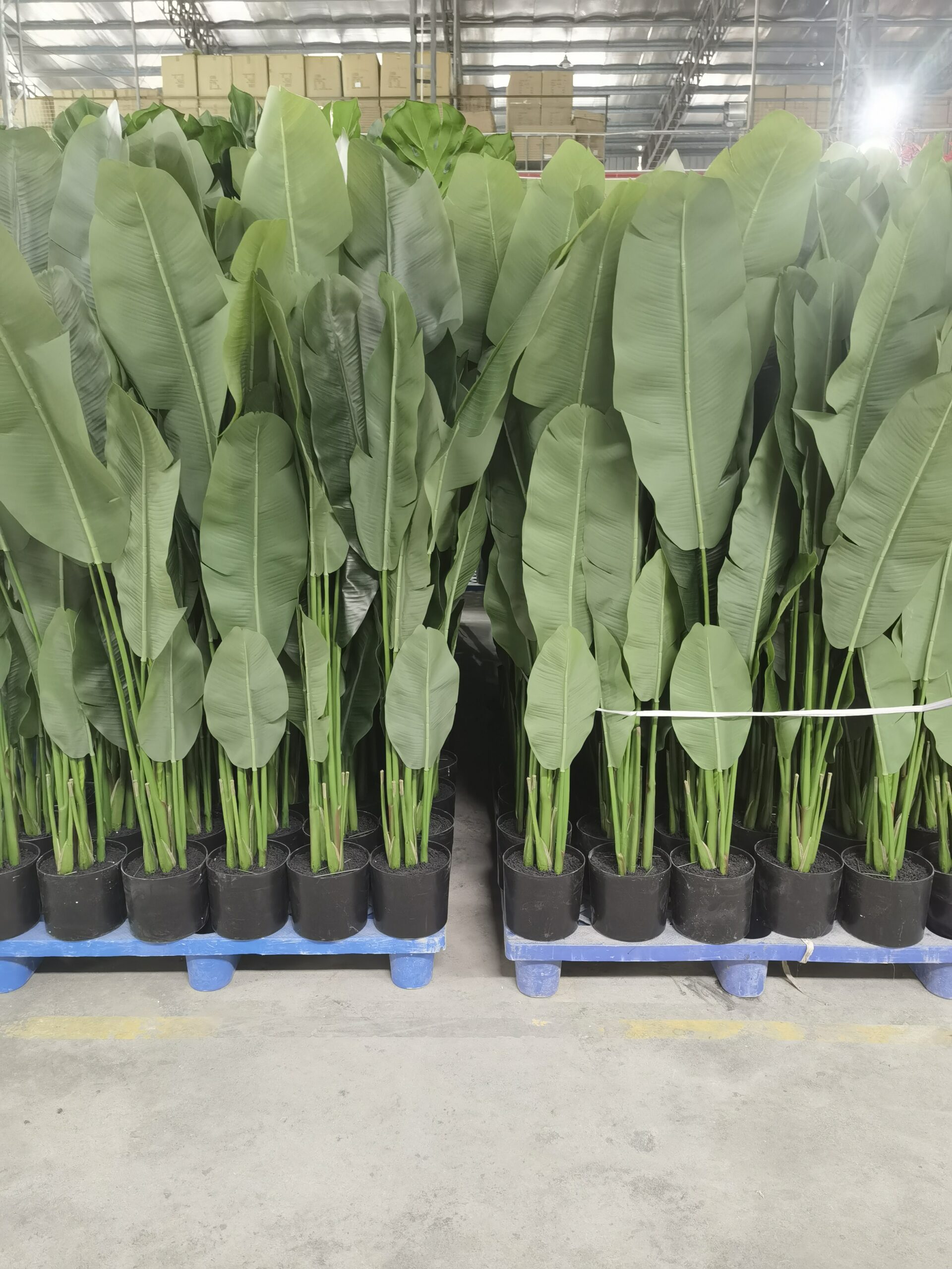 Sharetrade artificial tree factory