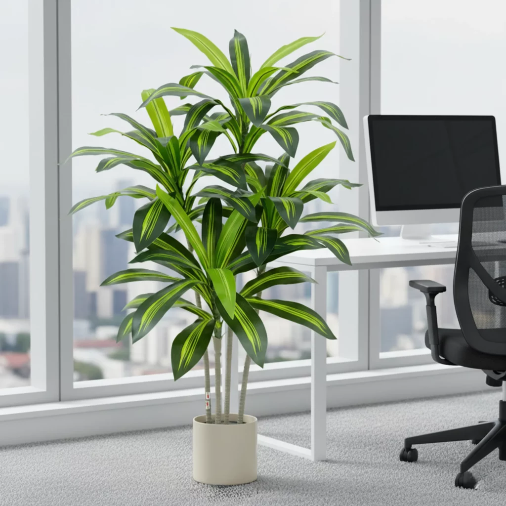 120cm Artificial Dracaena Fragrans PC317-120B-KD