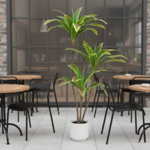 120cm Artificial Dracaena Tree UV Resistant 23STS227012 scene