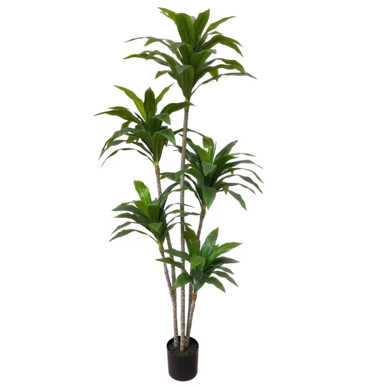 180cm Artificial Dracaena Tree UV Resistant 23STS227019