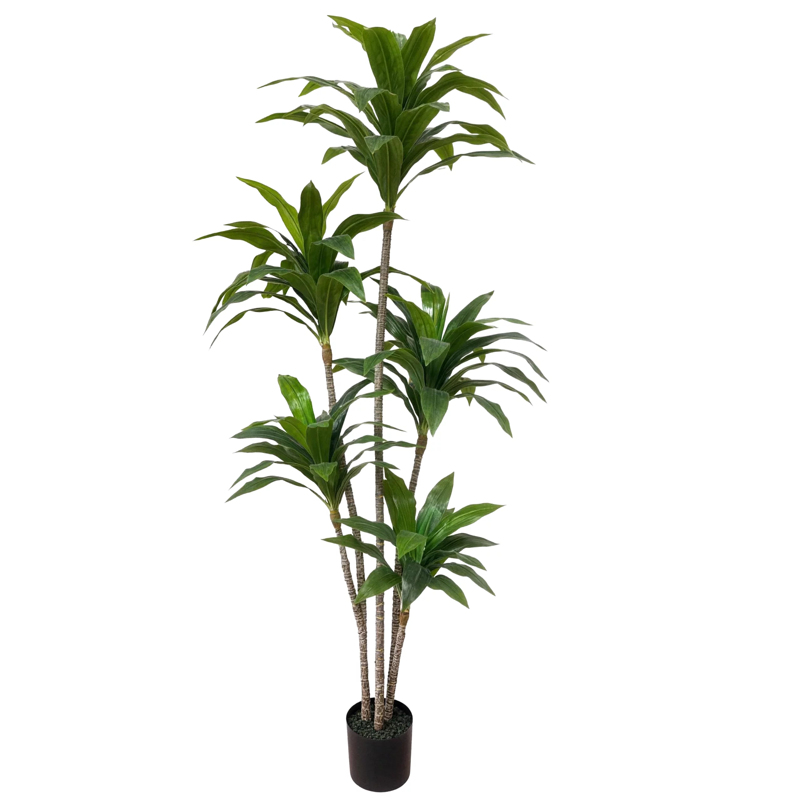 180cm Artificial Dracaena Tree UV Resistant 23STS227019