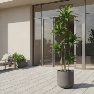 180cm Artificial Dracaena Tree UV Resistant 23STS227019 scene