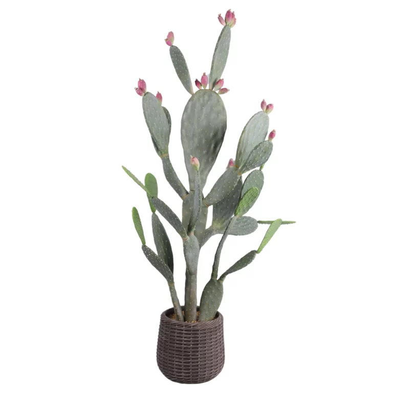 188cm Artificial Prickly Pear in an EVA Flower Pot 25STR292365