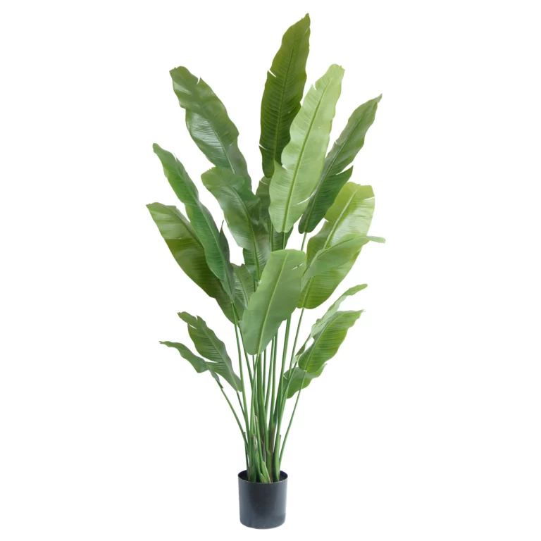 195cm Artificial Banana Tree KC070-195A-FR