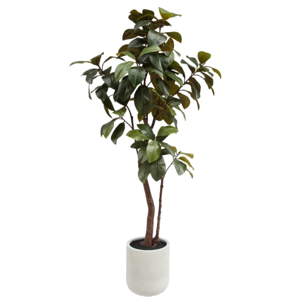 210cm Artificial Magnolia Leaf Tree in White Planter