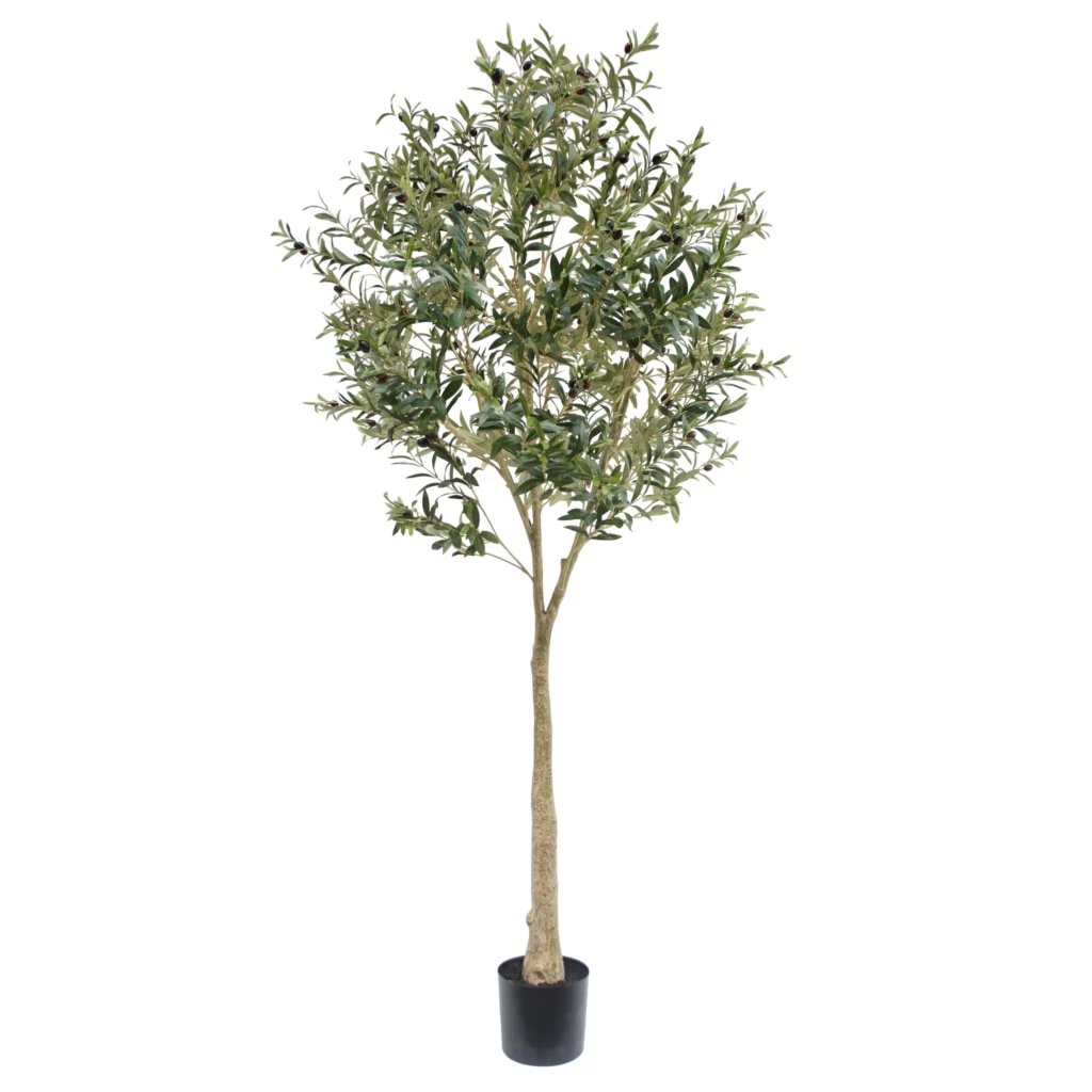 220cm Artificial Olive Tree with Fruits – Flame Retardant
