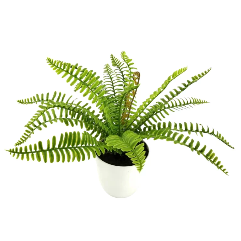 30cm Artificial Persian Fern Bush Plant 25STP338014